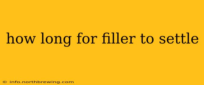 how long for filler to settle