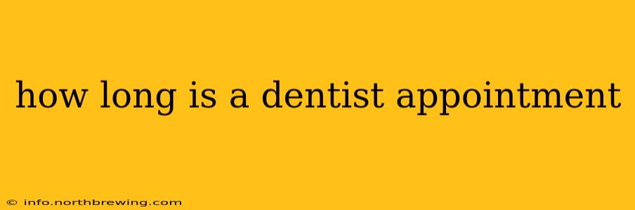 how long is a dentist appointment