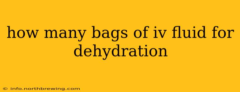 how many bags of iv fluid for dehydration