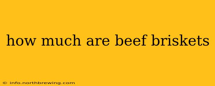 how much are beef briskets