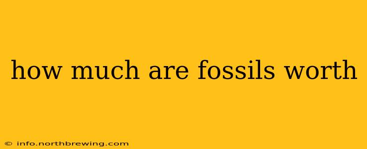 how much are fossils worth