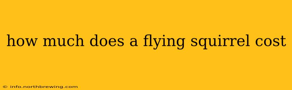 how much does a flying squirrel cost