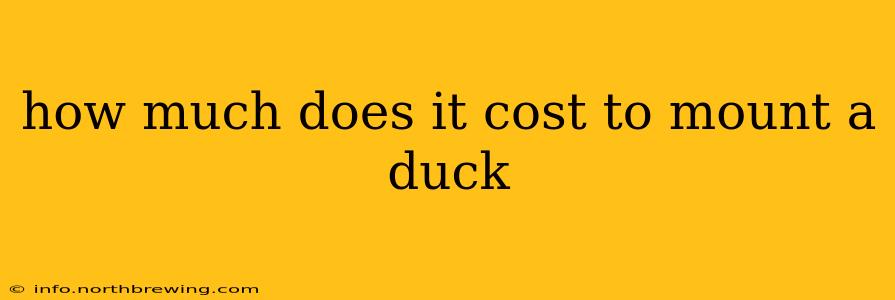 how much does it cost to mount a duck