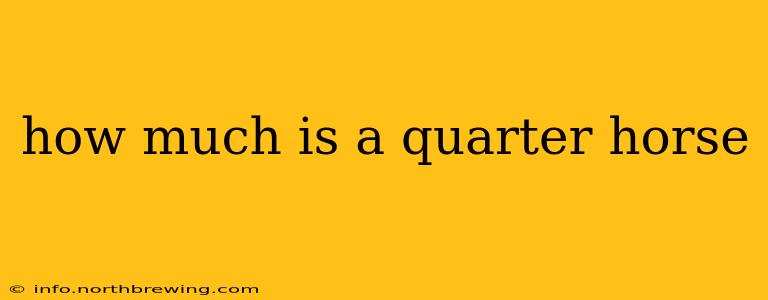 how much is a quarter horse