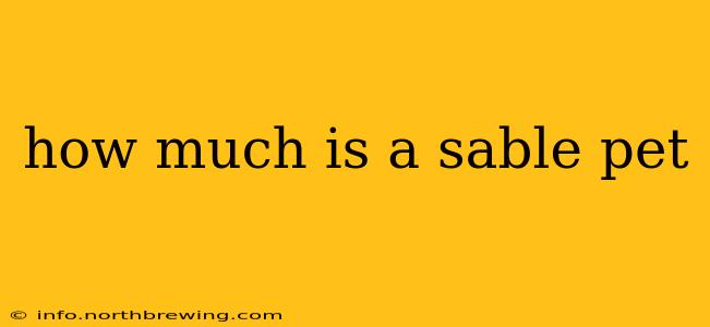 how much is a sable pet