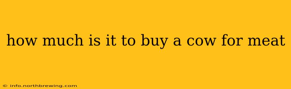 how much is it to buy a cow for meat