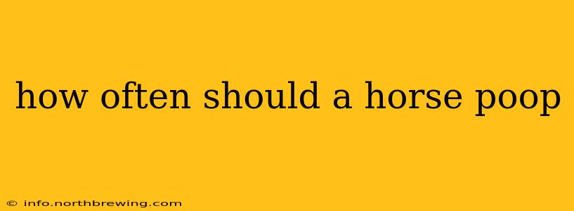 how often should a horse poop