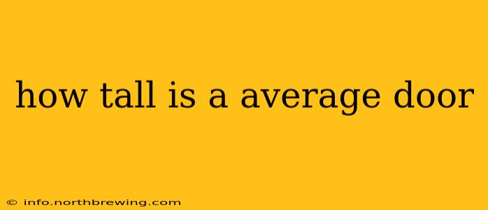how tall is a average door