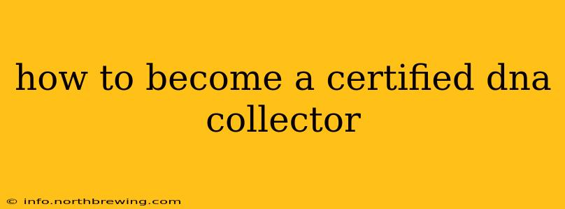 how to become a certified dna collector