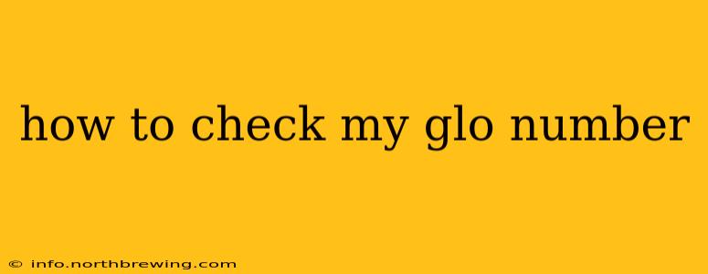 how to check my glo number