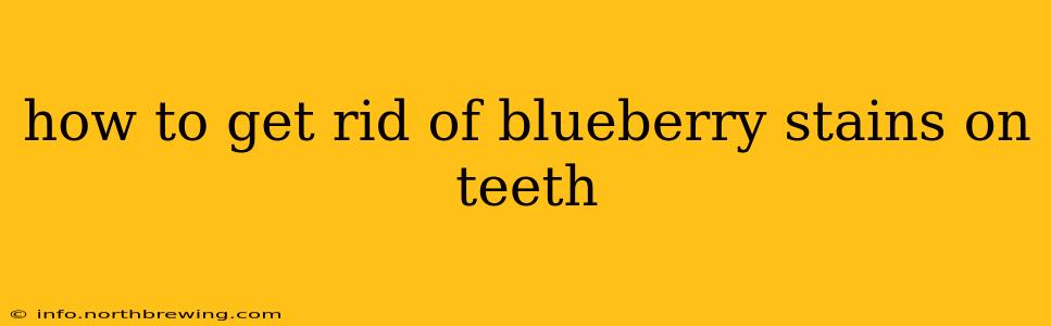 how to get rid of blueberry stains on teeth