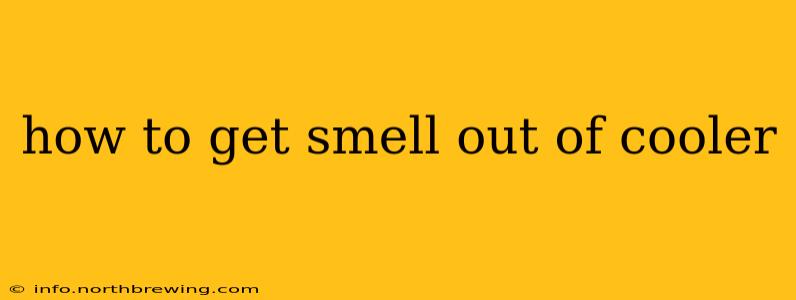 how to get smell out of cooler