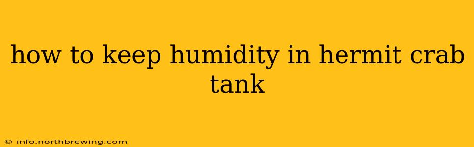 how to keep humidity in hermit crab tank