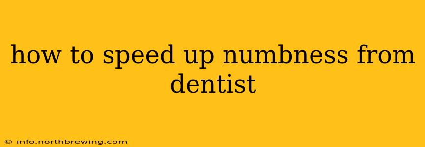 how to speed up numbness from dentist