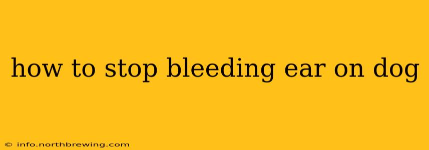 how to stop bleeding ear on dog