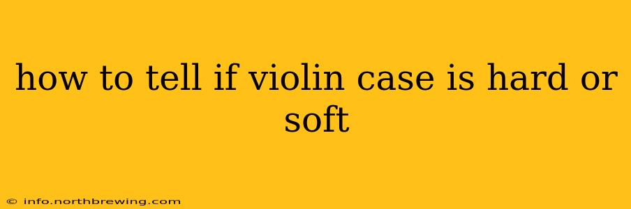how to tell if violin case is hard or soft