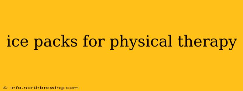 ice packs for physical therapy