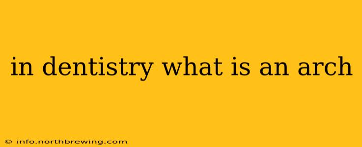 in dentistry what is an arch