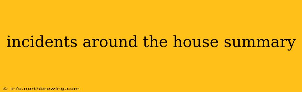 incidents around the house summary