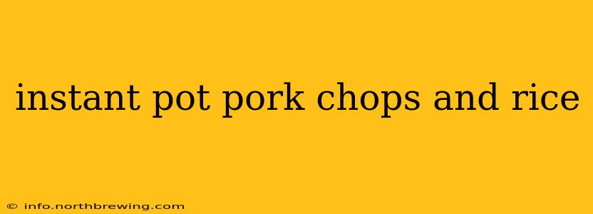 instant pot pork chops and rice