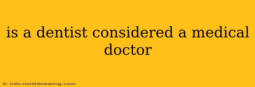 is a dentist considered a medical doctor