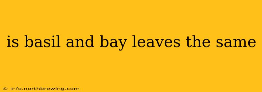is basil and bay leaves the same