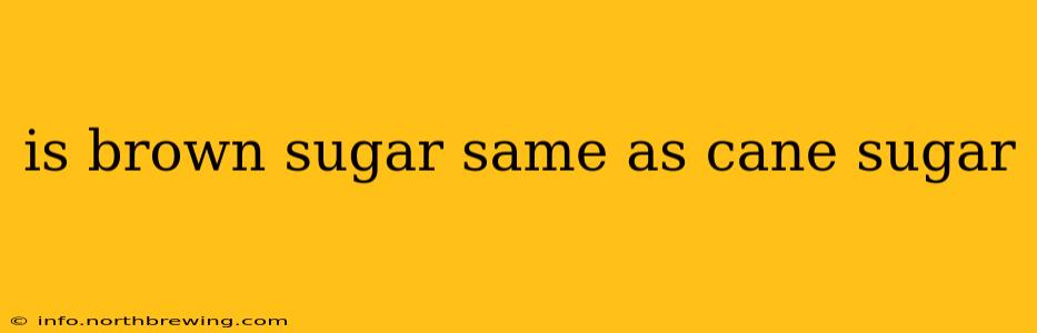 is brown sugar same as cane sugar