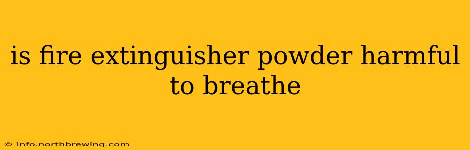 is fire extinguisher powder harmful to breathe