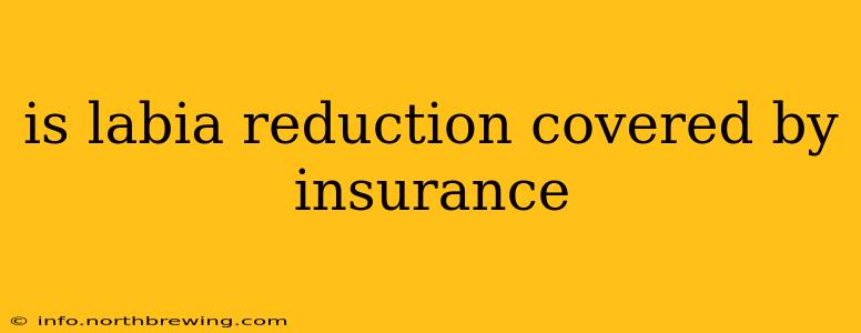 is labia reduction covered by insurance