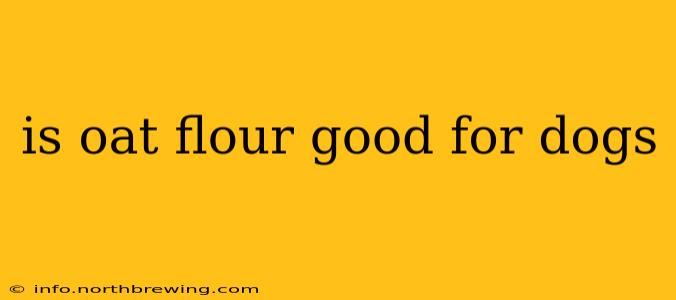 is oat flour good for dogs