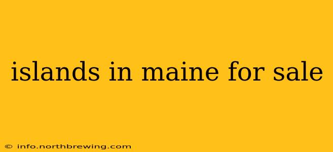 islands in maine for sale