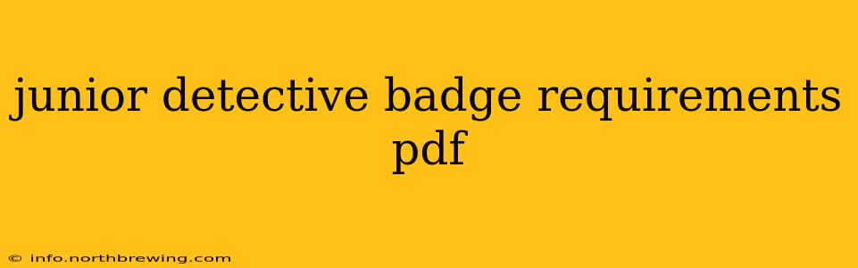 junior detective badge requirements pdf