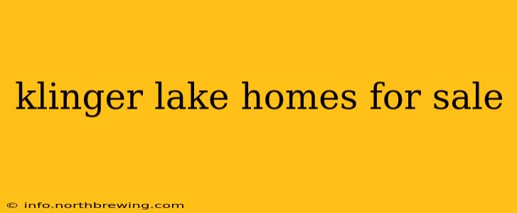 klinger lake homes for sale