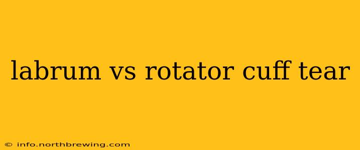 labrum vs rotator cuff tear