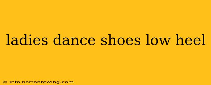 ladies dance shoes low heel