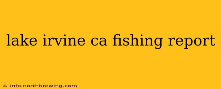 lake irvine ca fishing report