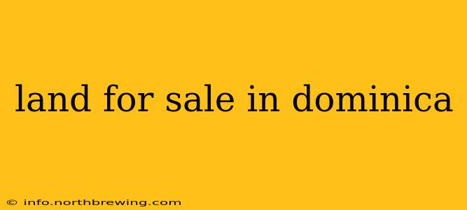 land for sale in dominica