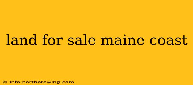 land for sale maine coast