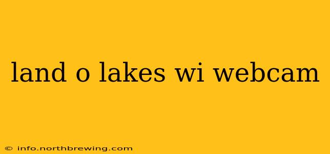 land o lakes wi webcam