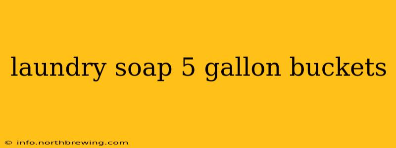 laundry soap 5 gallon buckets