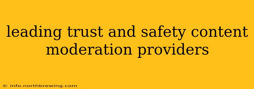 leading trust and safety content moderation providers