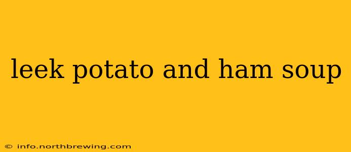 leek potato and ham soup