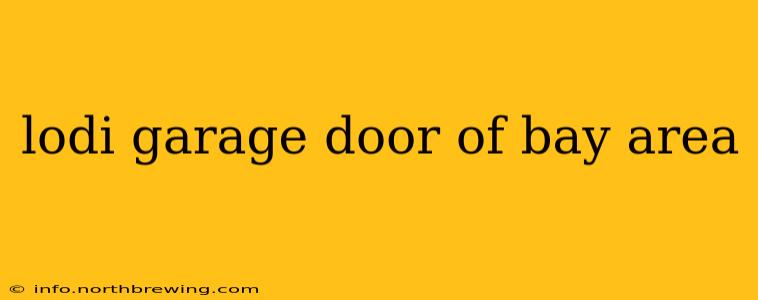 lodi garage door of bay area