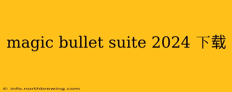 magic bullet suite 2024 下载