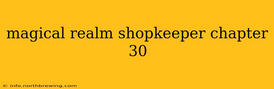 magical realm shopkeeper chapter 30