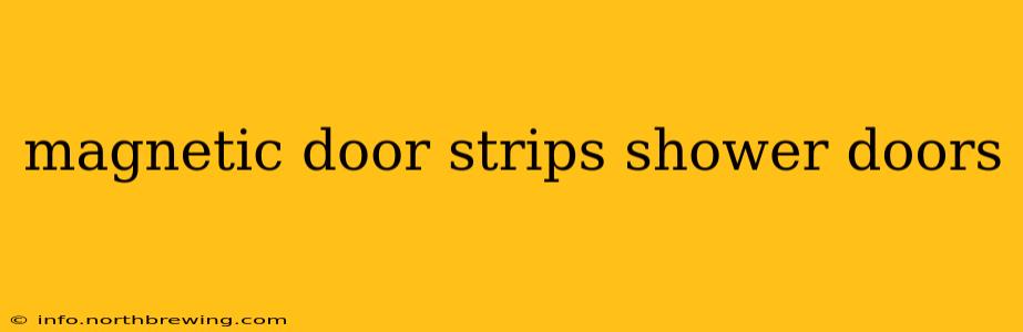 magnetic door strips shower doors