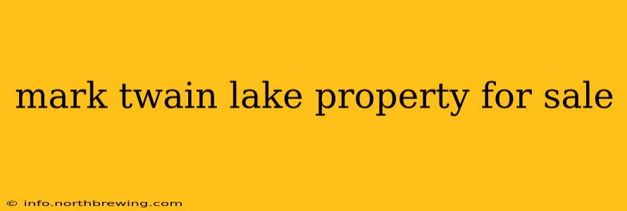 mark twain lake property for sale