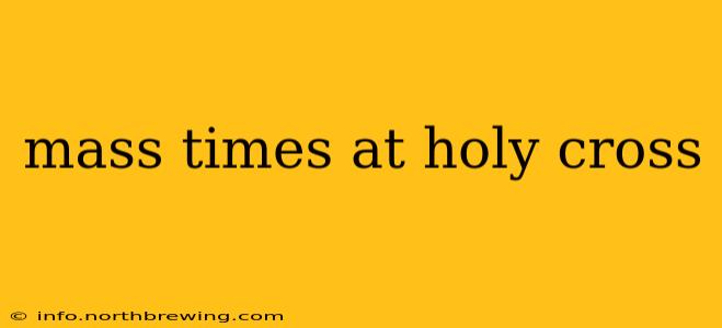 mass times at holy cross