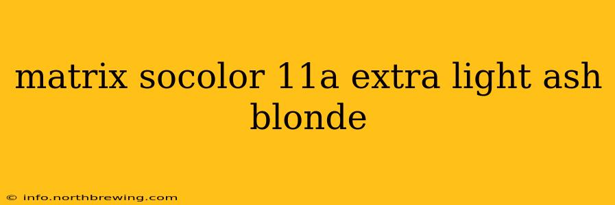 matrix socolor 11a extra light ash blonde