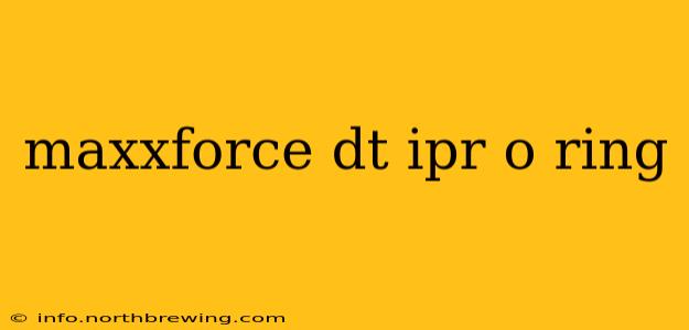 maxxforce dt ipr o ring